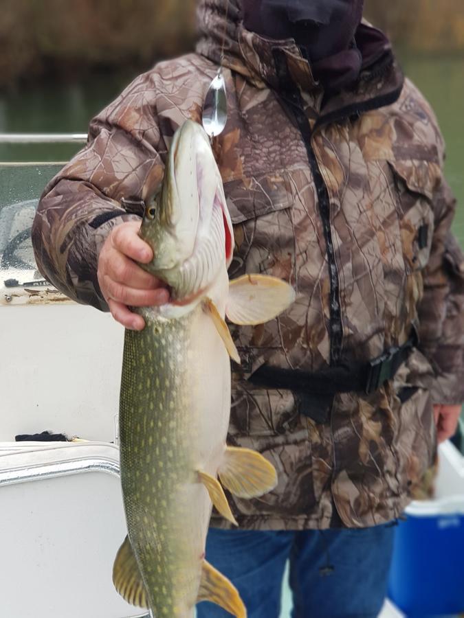 Pike Inn Dunavatul De Sus - Delta Dunarii Dunavăţu de Sus Eksteriør billede
